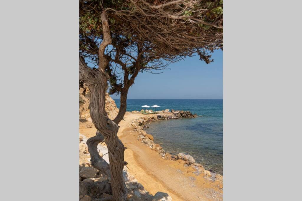 Ktima Sfakia Villa Kéfalos Exterior foto